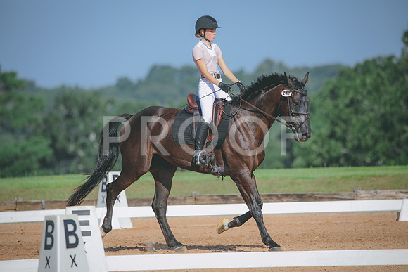 RWP_4649