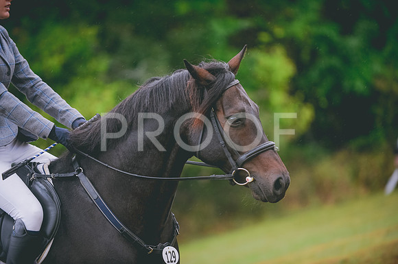 JJS_2817