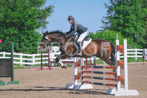 DSC_2337