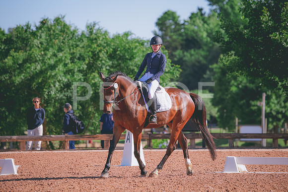 RWP_9514