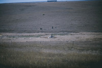 JJS_0528