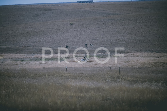 JJS_0528