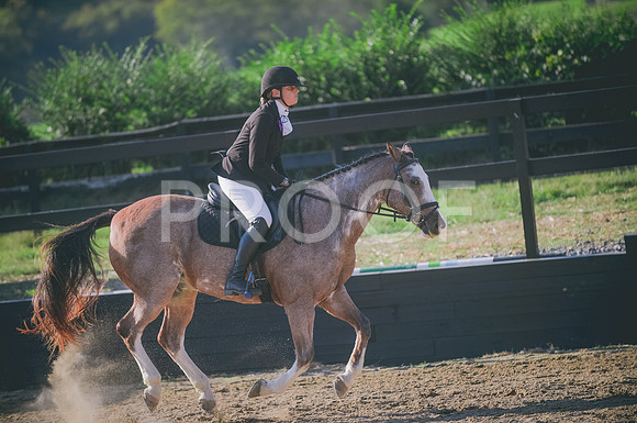 JJS_8038