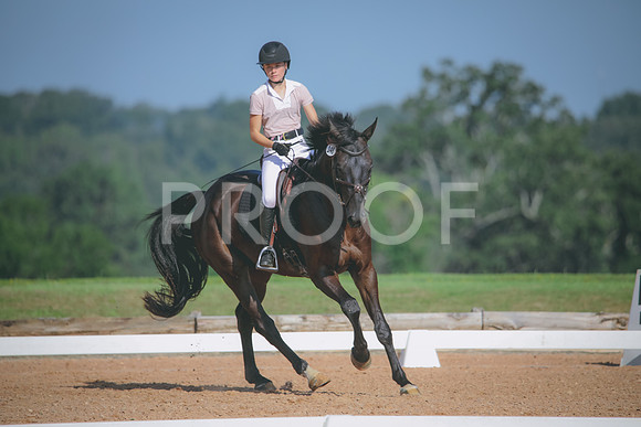 RWP_4645