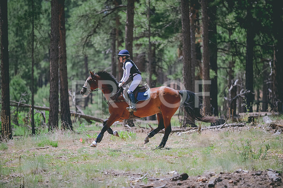 JJS_1713