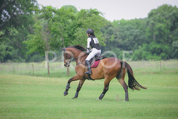 RWP_2484