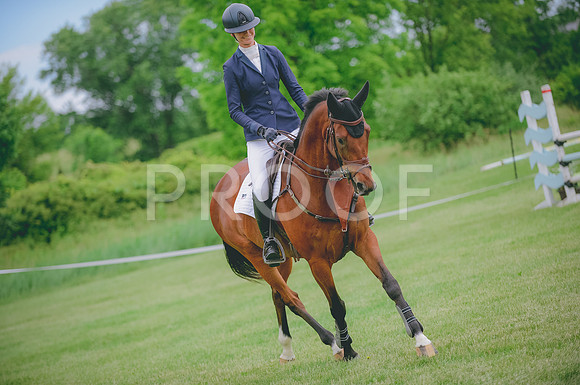 JJS_0677