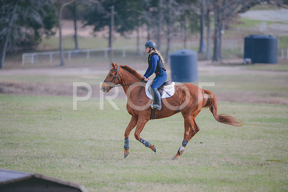 JJS_0873