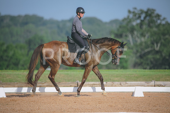 RWP_4524