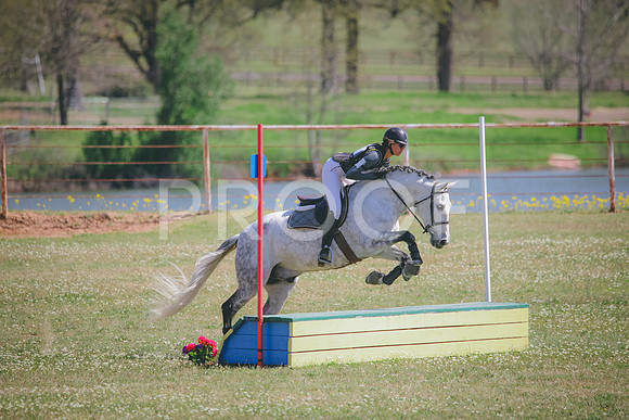 RWP_1293