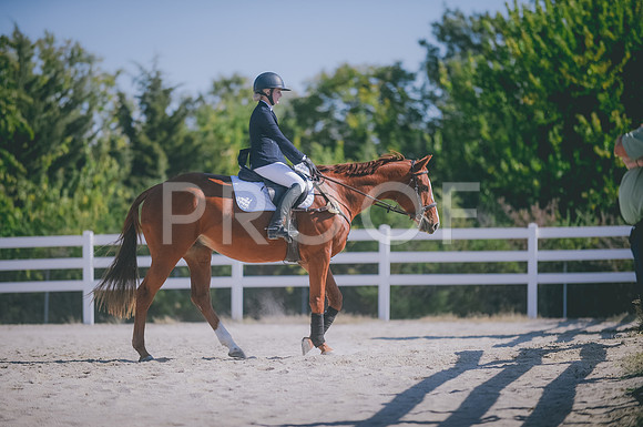 JJS_3029