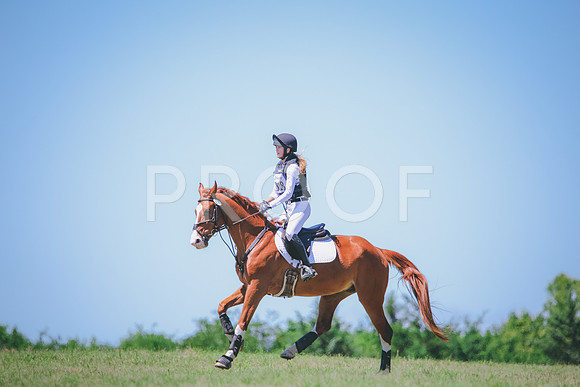 RWP_1031
