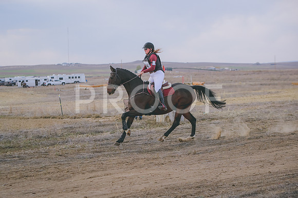 CDH_0393