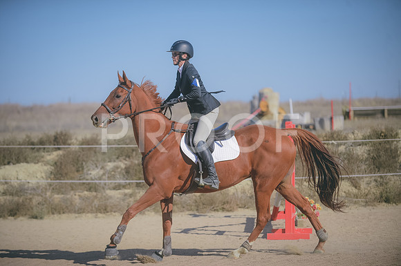 JJS_3254