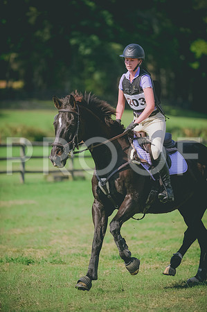 JJS_9198