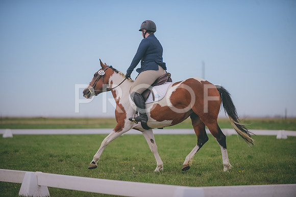 JJS_0258