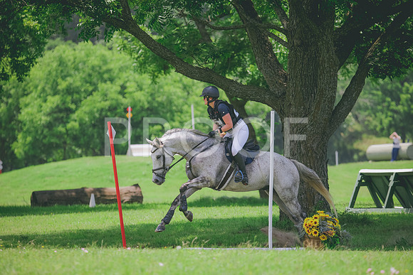 RWP_3170