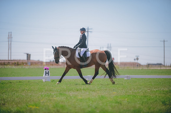 JJS_4386