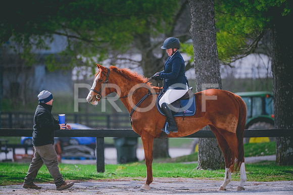 JJS_1388