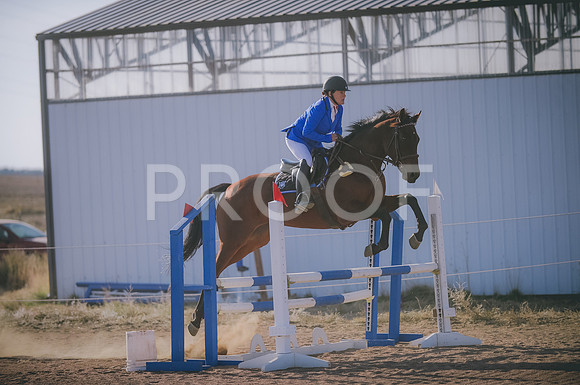 JJS_8681