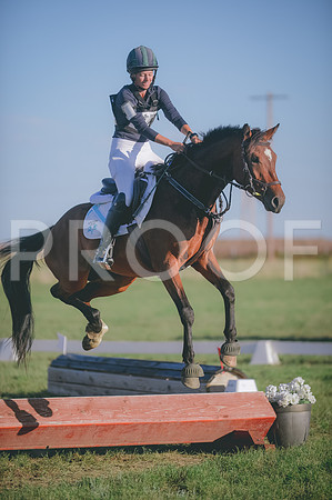JJS_3383