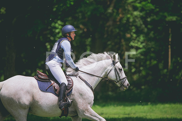 RWP_3827