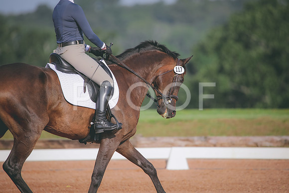 RWP_4369