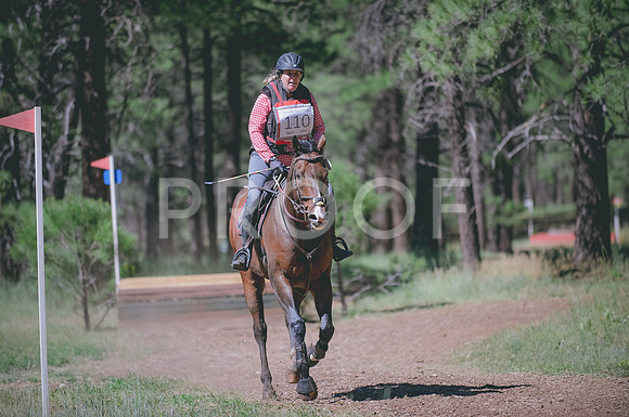 JJS_3970