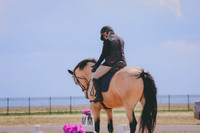 CLSL9261