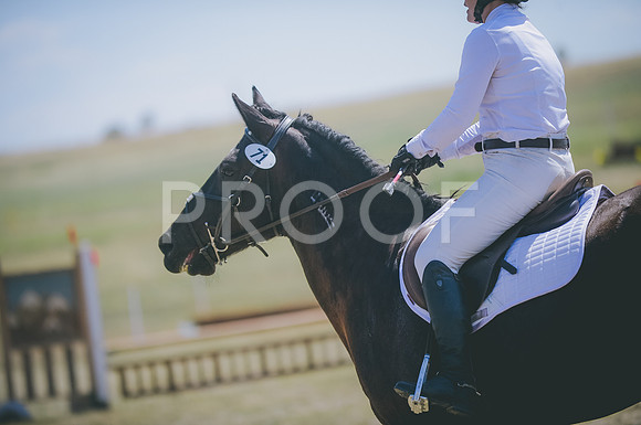 JJS_5793