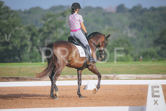 RWP_4348