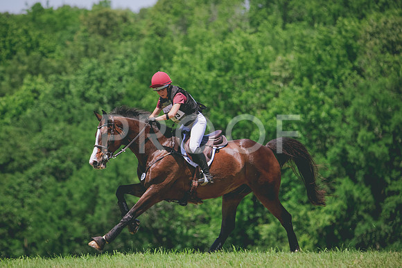 RWP_7765