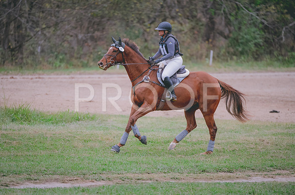 JJS_1994