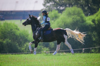 RWP_6379