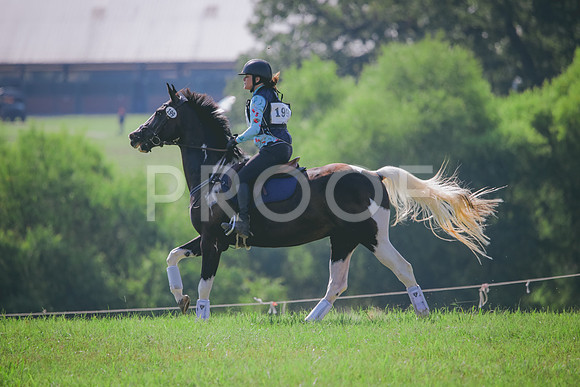 RWP_6379