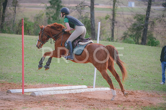 JJS_1394