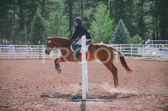 JJS_7338