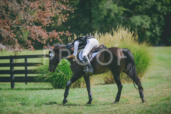 JJS_0999