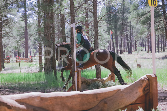 JAS_9010