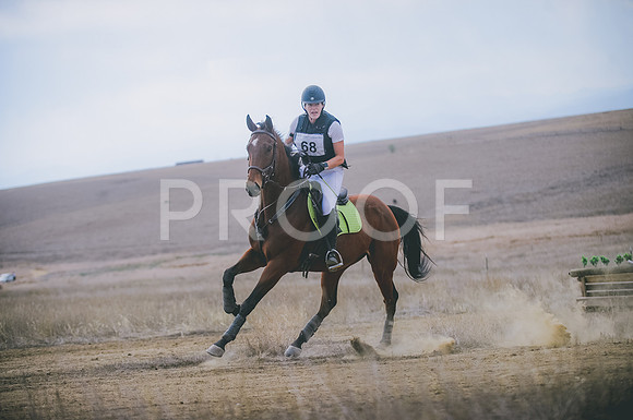 JJS_1355A
