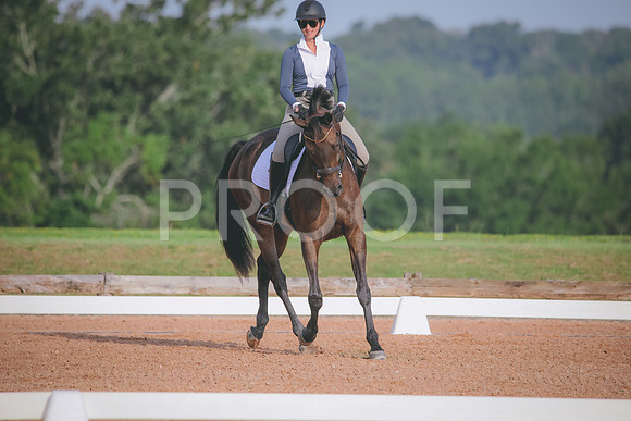 RWP_4391