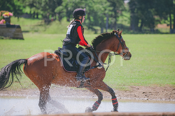 RWP_5172