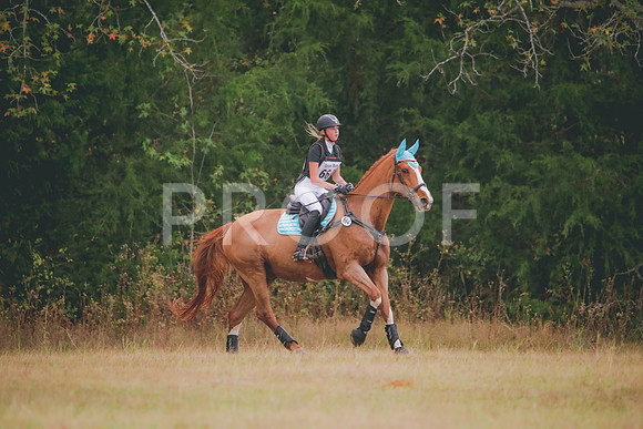 RWP_3313