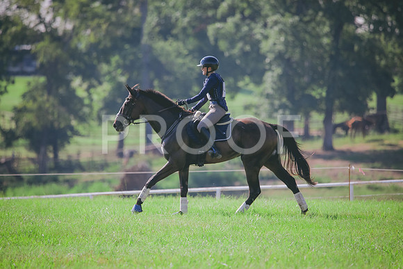 RWP_6353