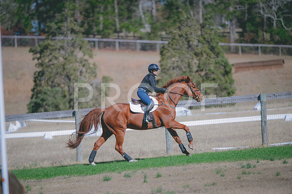 JJS_0807