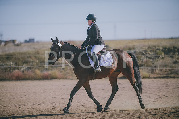 JJS_1161