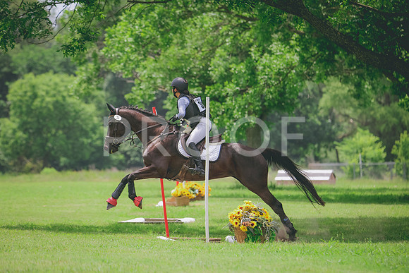 RWP_2566