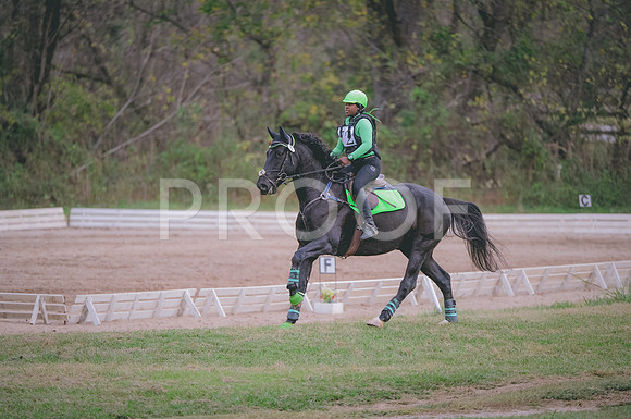 JJS_7742