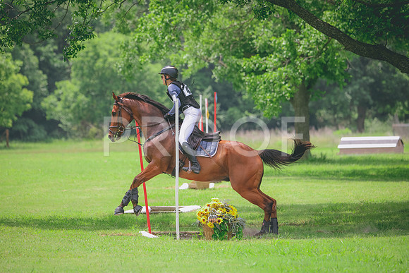 RWP_2615