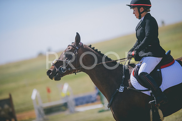 JJS_7286